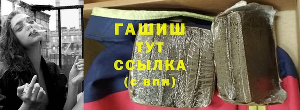 сатива Новокубанск